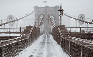 Snowstorm : 2021 : New York : Personal Photo Projects : Photos : Richard Moore : Photographer